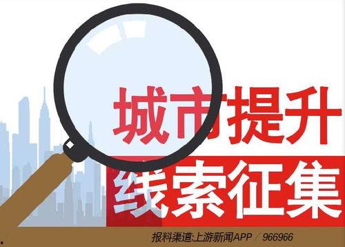 沈阳新闻爆料热线电话,揭露城市脉搏，倾听民意心声