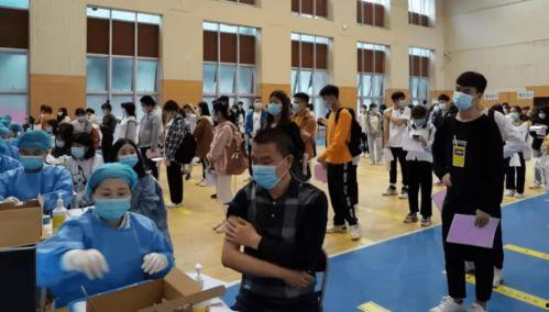 辉县碧桂园爆料最新消息,揭秘项目进展与未来规划