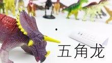 恐龙玩具爆料视频,爆款爆款背后的爆款秘密