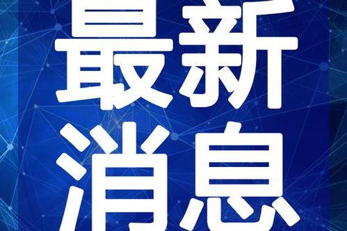 邵老板爆料视频大全最新,揭秘幕后真相，带你走进事件核心