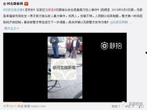 石家庄街头新闻爆料,惊险一幕引关注
