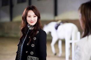 娱乐圈名场面吃瓜图鉴,吃瓜图鉴里的笑与泪