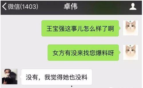 最新橙皮爆料视频大全,揭秘最新游戏内幕与精彩瞬间