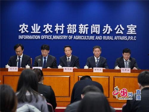 央视农业整改新闻爆料,揭秘背后真相与整改措施