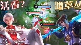 坑神王者爆料后羿视频在线观看,坑神王者独家爆料视频大放送