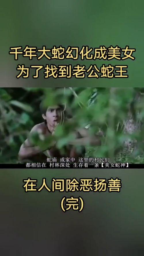 美女蛇电影在线观看,惊悚奇幻之旅——在线观看，揭秘神秘传说
