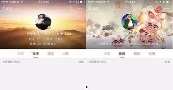 娱乐爆料流量,流量明星背后的故事大揭秘