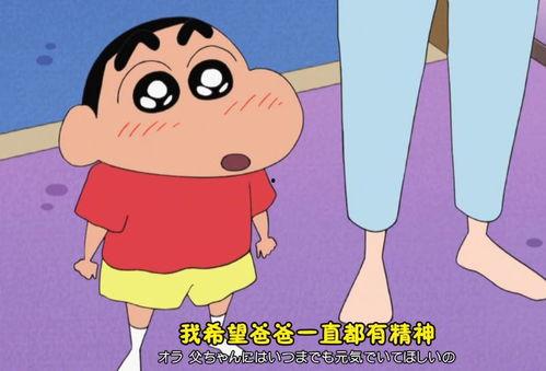 蜡笔小新爆料父母视频,父母私密视频引发热议