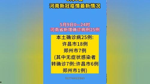 有关河南的最新爆料新闻,揭秘某地神秘事件真相