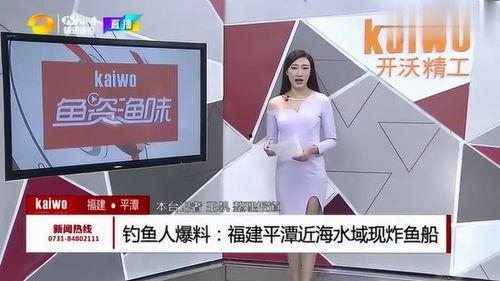 钓鱼爆料视频下载大全最新,最新钓鱼技巧与实战解析