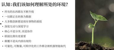 陈春花最新爆料,揭秘企业成功之道与行业变革趋势