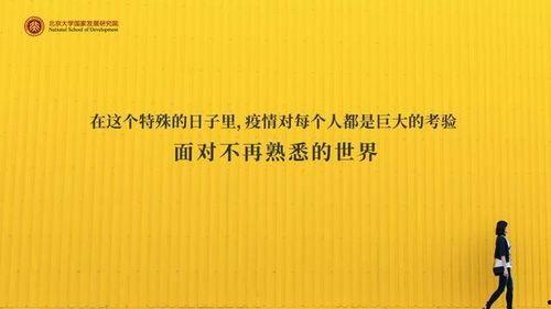 陈春花最新爆料,揭秘企业成功之道与行业变革趋势