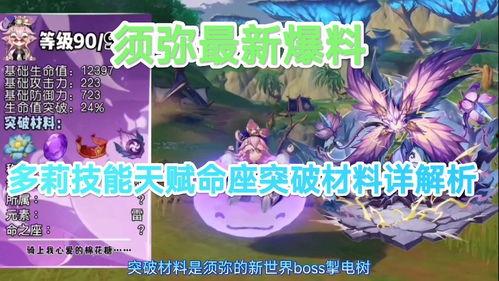 须弥爆料全家福视频大全,揭秘须弥家族成员风采瞬间