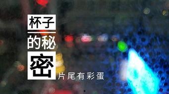 天津视频爆料者,天津视频爆料者揭露惊人内幕