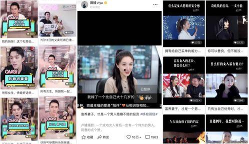 中山公园直播爆料视频播放,揭秘公园幕后故事与精彩瞬间