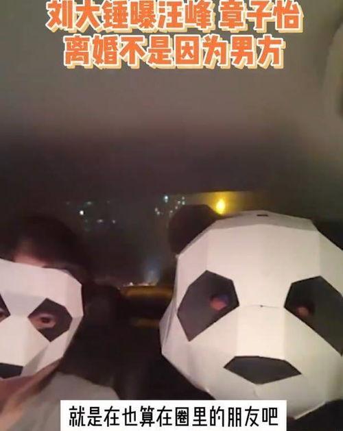 刘大锤最新爆料汪峰视频,揭秘摇滚传奇背后的故事