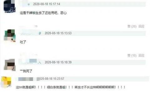 文安吃瓜视频爆料微博,揭秘娱乐圈最新热点事件