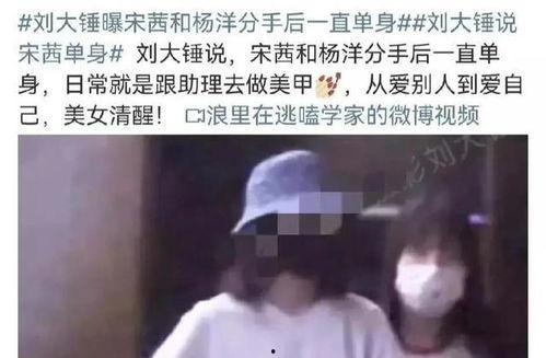 刘大锤最新爆料00后,00后新势力崛起，年轻一代引领潮流