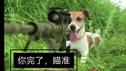 带你吃瓜之沙雕动画免费观看,免费畅享沙雕动画盛宴