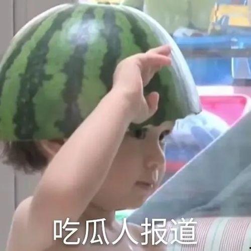 带你吃瓜之沙雕动画免费观看,免费畅享沙雕动画盛宴