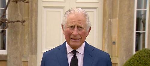 英国查尔斯爆料视频,王室内部惊人真相大揭秘