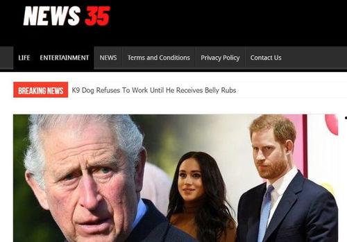英国查尔斯爆料视频,王室内部惊人真相大揭秘