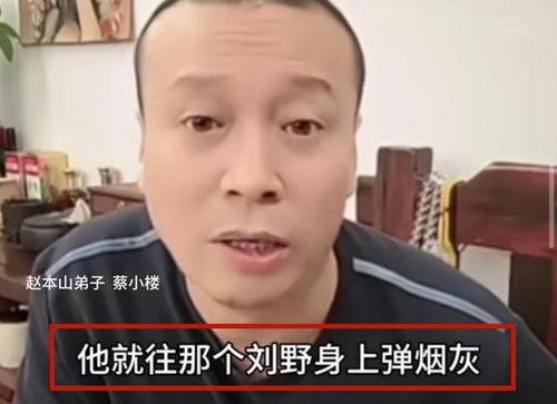 蔡小楼爆料刘野致死视频,视频曝光背后的惊人内幕
