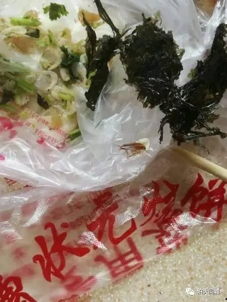 烧饼拜年爆料视频,欢乐氛围中传递新春祝福