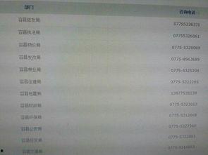 广西最新爆料新闻网站,聚焦热点事件，揭秘幕后真相