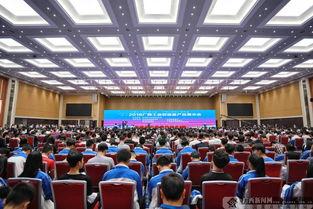 广西最新爆料新闻网站,聚焦热点事件，揭秘幕后真相
