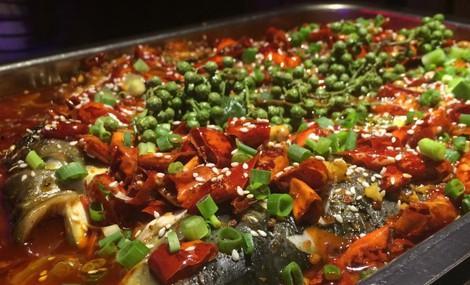 爆料哥吃青花椒鱼视频,爆料哥亲尝美味，辣度与鲜香并存