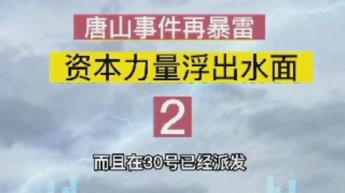 唐山小二爆料案件最新情况,案情细节及调查进展全解析