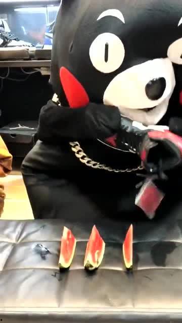 网红熊吃瓜大赛,一场爆笑与美食的狂欢盛宴