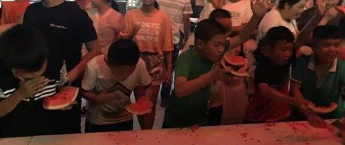 网红熊吃瓜大赛,一场爆笑与美食的狂欢盛宴