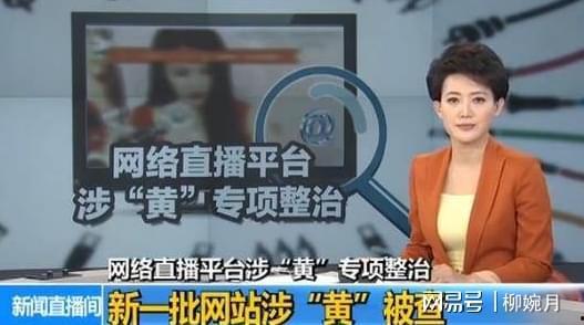 女子爆料淄博新闻事件视频,真相背后引人深思