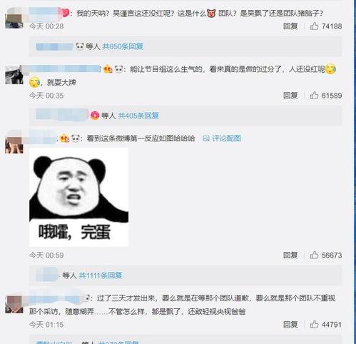 吴瑾言最新爆料消息,揭秘演艺圈幕后真相