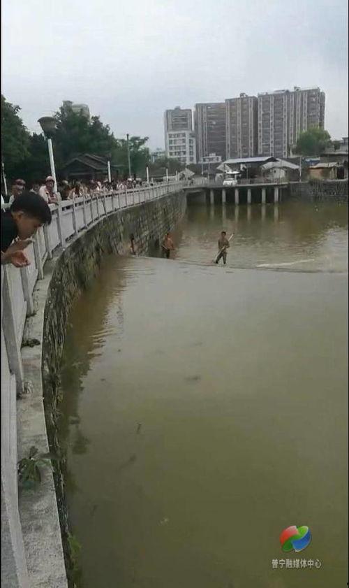 新河爆料最新,揭秘最新热点事件背后的真相