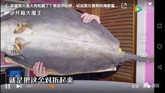 美女被鲨鱼爆料视频网站