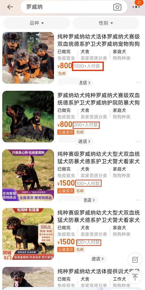 古柯爆料的视频,幕后真相大曝光