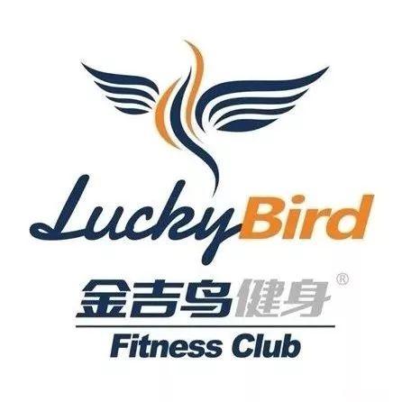 金吉鸟最新爆料视频,揭秘神秘视频背后的惊人真相！