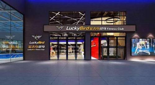 金吉鸟最新爆料视频,揭秘神秘视频背后的惊人真相！