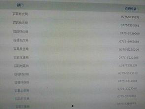 爆料新闻电话号码,最新爆料新闻电话号码曝光，真相即将揭晓
