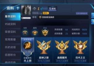 国服皮肤爆料最新消息,最新消息揭示神秘英雄新装