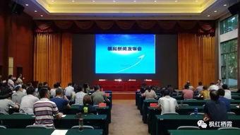 烟台栖霞最新新闻爆料,重大事件引发社会关注