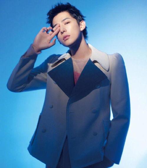 娱乐爆料王安宇是谁,揭秘“王安宇”背后的明星身份