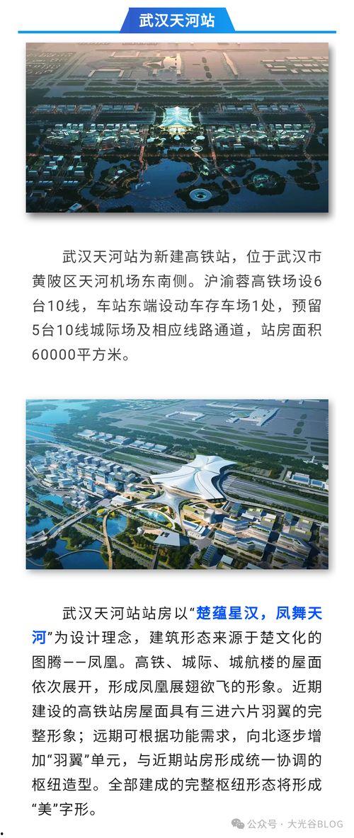 武汉二中爆料新闻最新消息