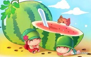 娱乐君吃瓜老绵羊,揭秘老绵羊背后的故事