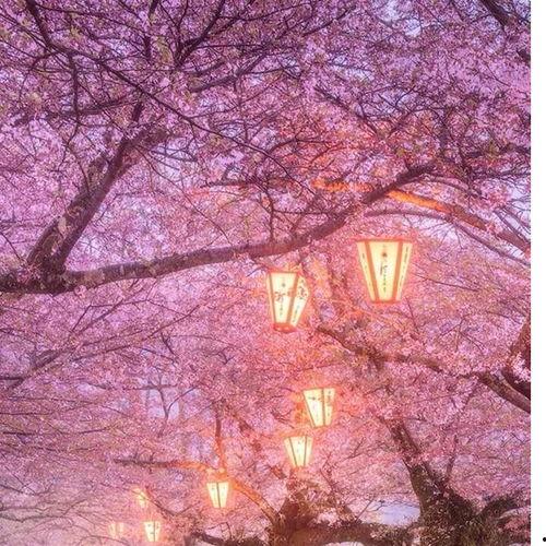 娱乐圈恋爱爆料音频在线听,明星恋情大起底