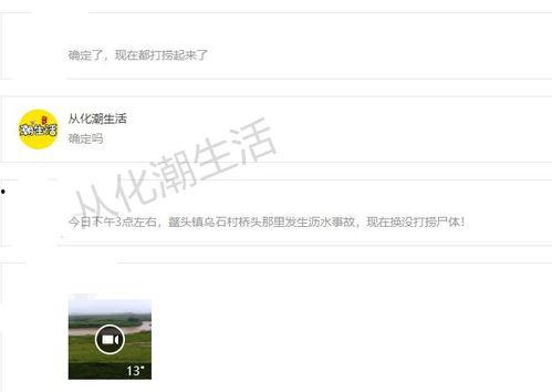 从化新闻爆料网站最新,最新爆料揭示城市动态与民生焦点
