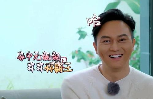 袁咏仪爆料丈夫视频,家庭生活曝光引热议